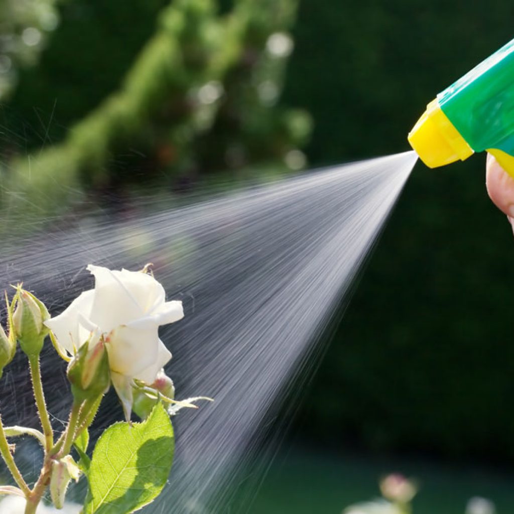 aplicacion de productos fitosanitarios aplicacion de productos fitosanitarios