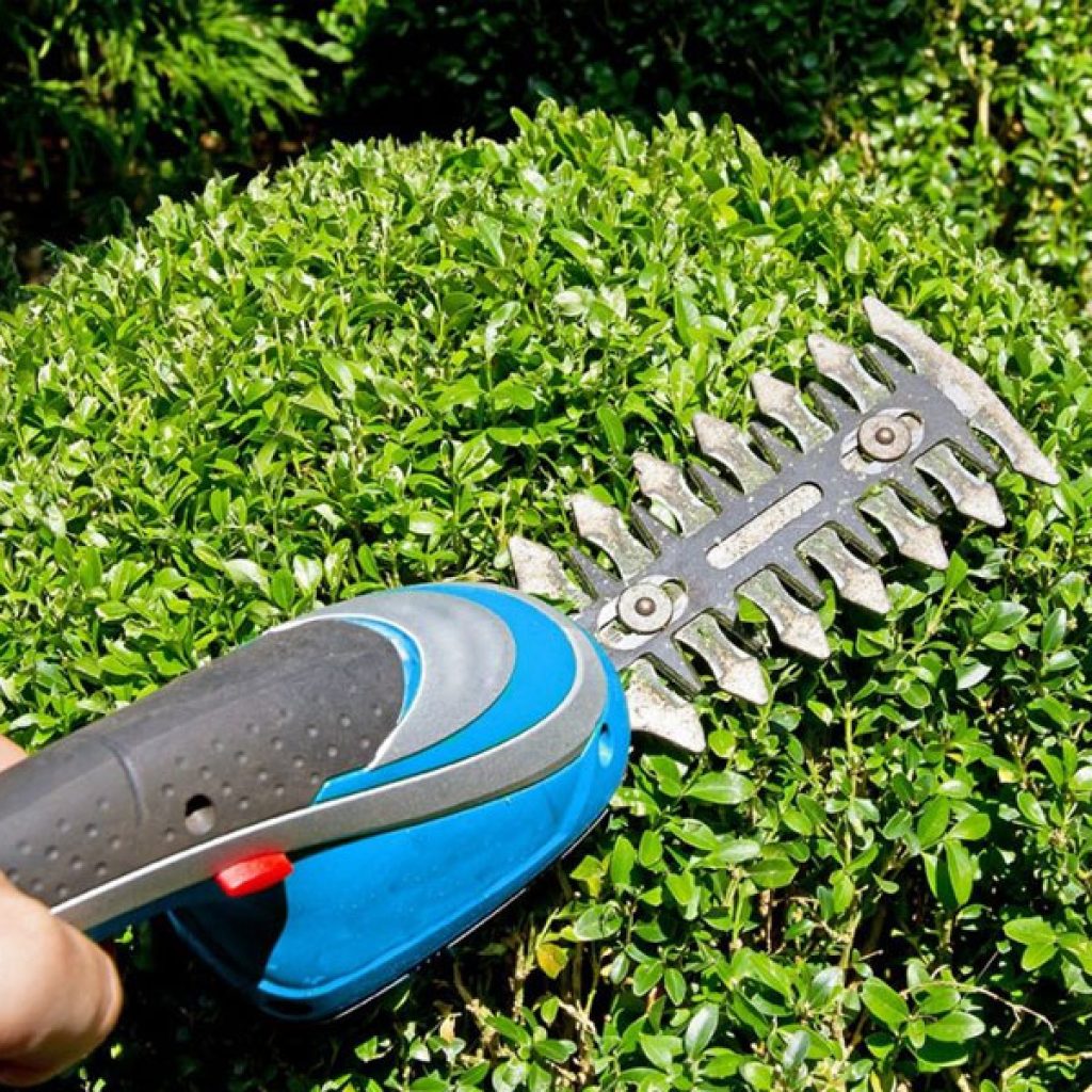 mantenimiento de jardines mantenimiento de jardines