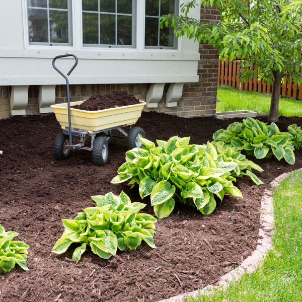 mantenimiento de jardines mantenimiento de jardines