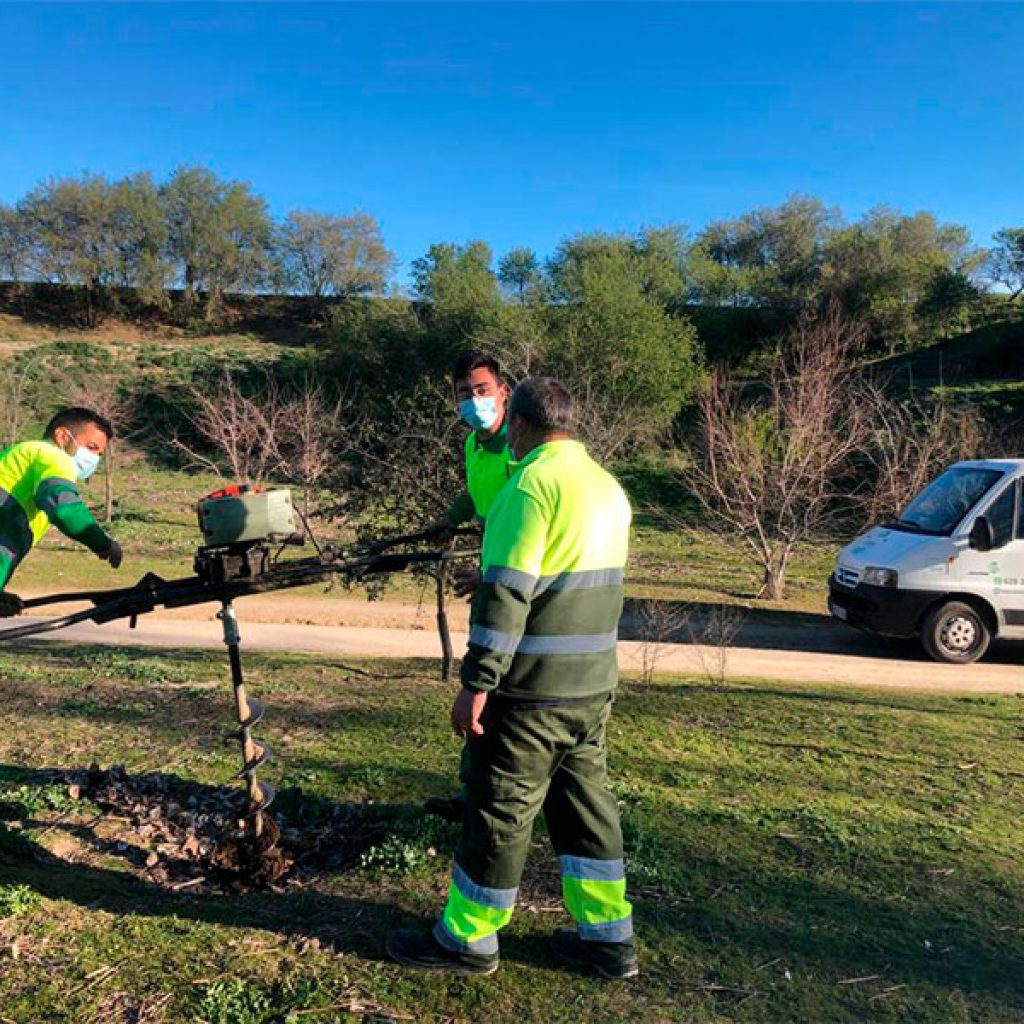limpieza de fincas y parcelas