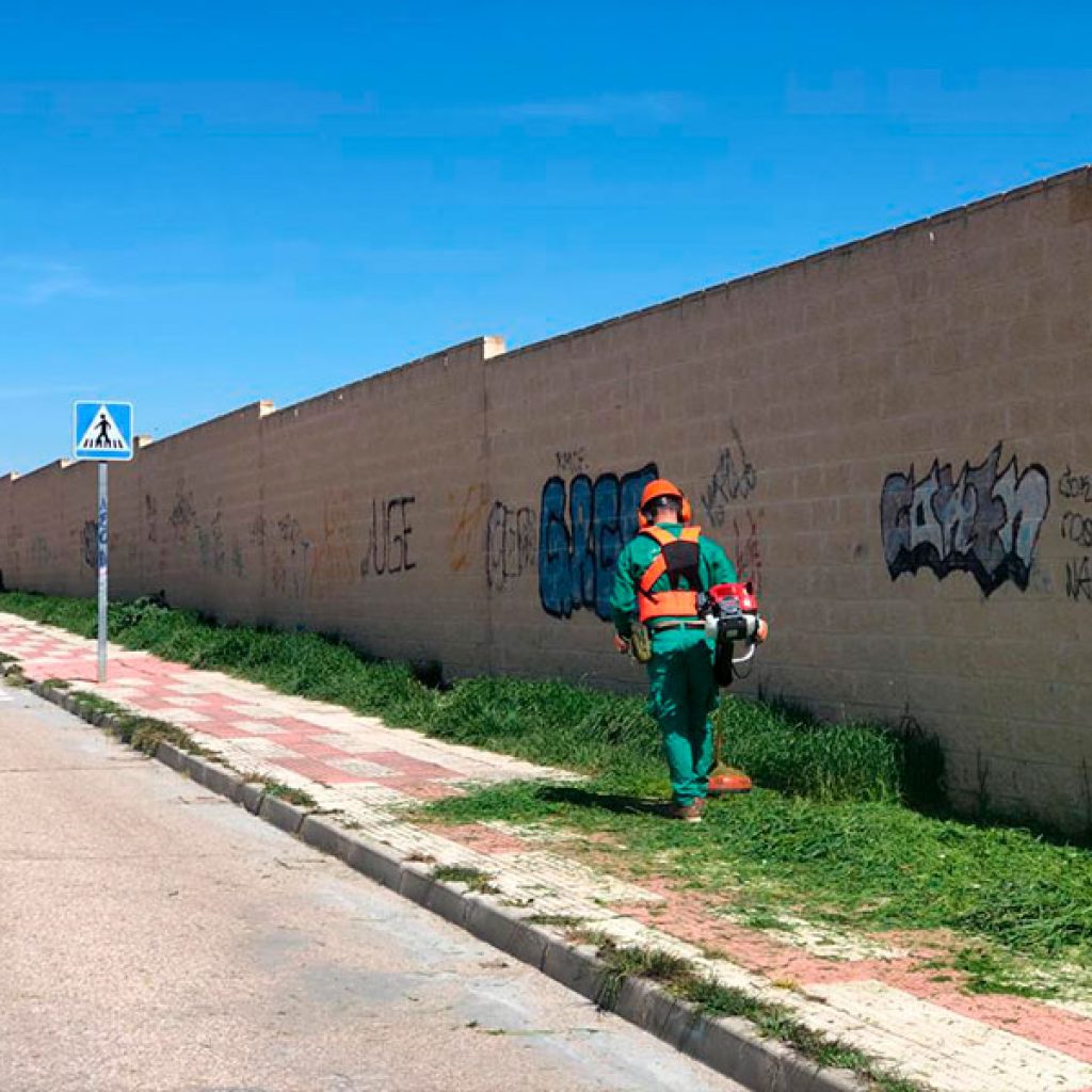 limpieza de fincas y parcelas