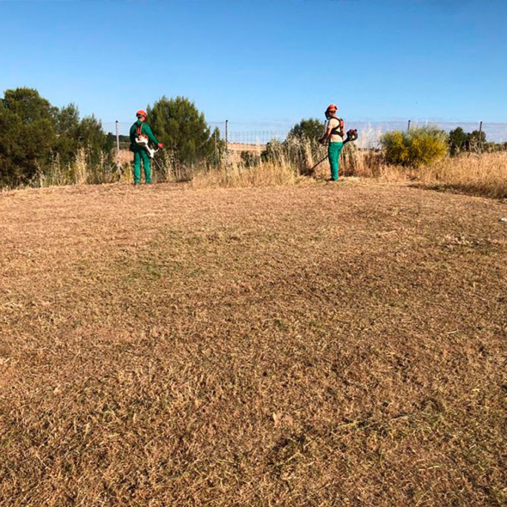 limpieza de fincas y parcelas
